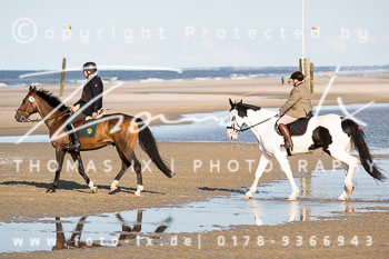 16 Jagd Norderney 16 Jagd Norderney