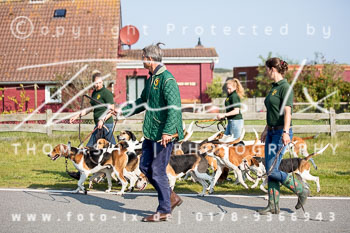 17 - Hundearbeit Norderney 17 - Hundearbeit Norderney