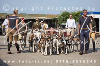 17 - Hundearbeit Norderney