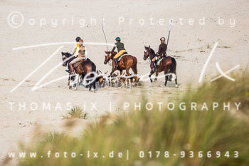 17 - Hundearbeit Norderney 17 - Hundearbeit Norderney