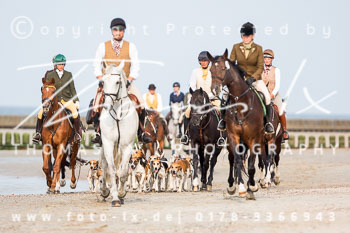 17 - Hundearbeit Norderney 17 - Hundearbeit Norderney