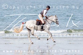 17 - Hundearbeit Norderney 17 - Hundearbeit Norderney