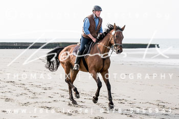 17 - Hundearbeit Norderney 17 - Hundearbeit Norderney