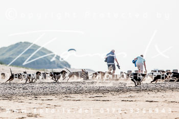 17 - Hundearbeit Norderney 17 - Hundearbeit Norderney