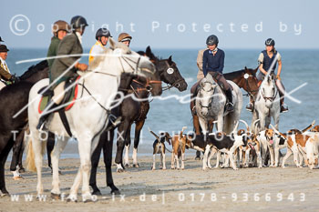 17 - Hundearbeit Norderney 17 - Hundearbeit Norderney
