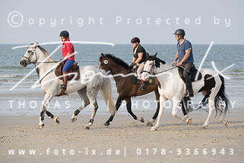 17 - Hundearbeit Norderney