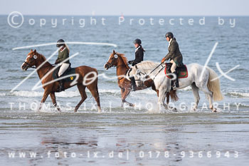 17 - Hundearbeit Norderney 17 - Hundearbeit Norderney