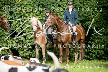 19 - Jugendjagd Basthorst