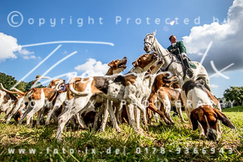 20 - Hammerjagd Tegelhof Rügen