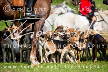 20 - Hammerjagd Tegelhof Rügen