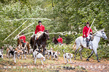 23 - Jagd Bothkamp 23 - Jagd Bothkamp