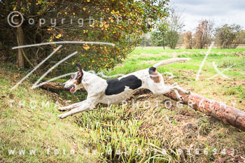 26 - Schleppjagd Untergut Grabow