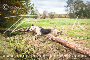 26 - Schleppjagd Untergut Grabow