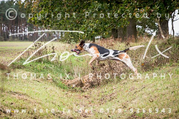 26 - Schleppjagd Untergut Grabow