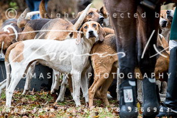 27 - Jagd Neuhardenberg