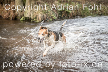 02 - Herbstjagd Sudermühlen