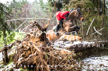 36 - Herbstjagd Toppenstedt