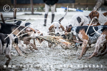 36 - Herbstjagd Toppenstedt