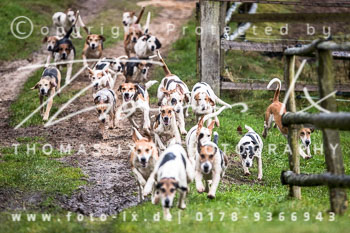 01 - Boxing Day Meet
