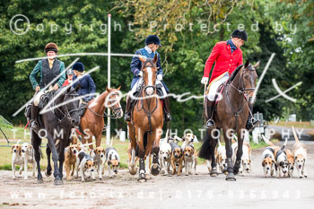10 - Jagd Gut Knoop - Kiel 10 - Jagd Gut Knoop - Kiel
