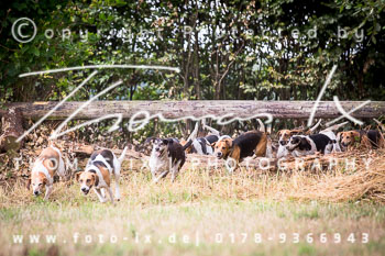10 - Jagd Gut Knoop - Kiel