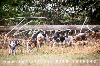 10 - Jagd Gut Knoop - Kiel 10 - Jagd Gut Knoop - Kiel