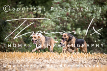 10 - Jagd Gut Knoop - Kiel