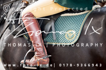 12 - Damenjagd Gut Basthorst