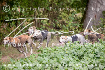 12 - Damenjagd Gut Basthorst 12 - Damenjagd Gut Basthorst