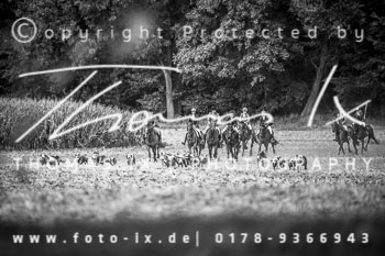 12 - Damenjagd Gut Basthorst