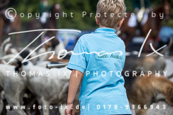 12 - Damenjagd Gut Basthorst