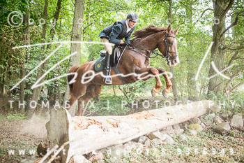 13 - Jagd Rohlfshagen