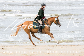 01 - Inselendjagd