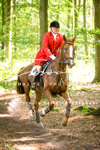 16 - Rittergut Schnellenberg