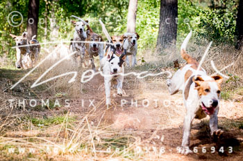 16 - Rittergut Schnellenberg