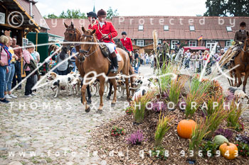 17 Jugendjagd Basthorst 17 Jugendjagd Basthorst