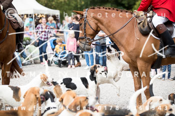 17 Jugendjagd Basthorst 17 Jugendjagd Basthorst
