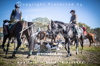 23 - Jagd Heitlingen