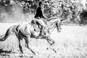 23 - Jagd Heitlingen