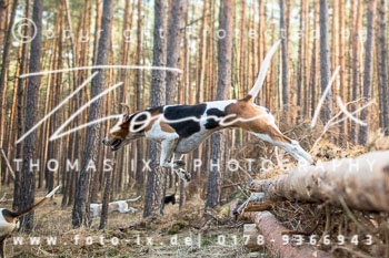 25 - Schmölauer Grenzlandjagd
