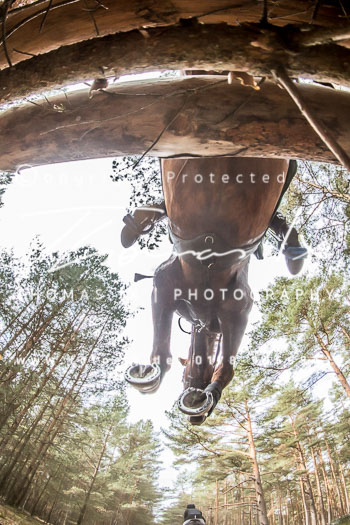 25 - Schmölauer Grenzlandjagd