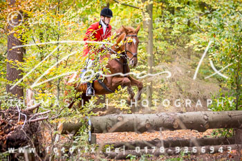 26 - Zwei-Meute-Jagd Wietzetze