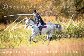 26 - Zwei-Meute-Jagd Wietzetze