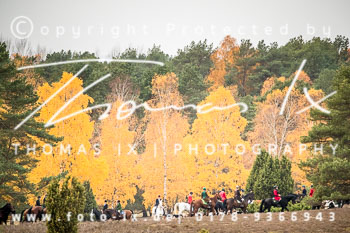 34 - Jagd Hermannsburg