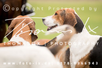 35 - Jagd Thedinghausen