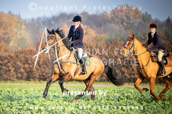 37 - Jagd Harsefeld 37 - Jagd Harsefeld