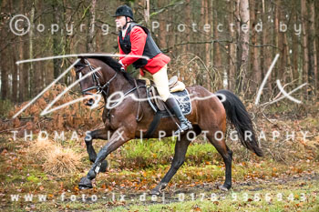 41 - Jagd Wense