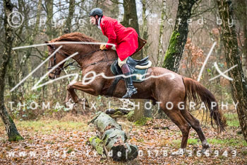41 - Jagd Wense 41 - Jagd Wense