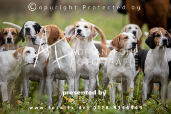 42 - Toppenstedter Herbstjagd