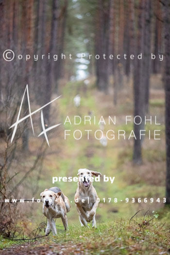 42 - Toppenstedter Herbstjagd